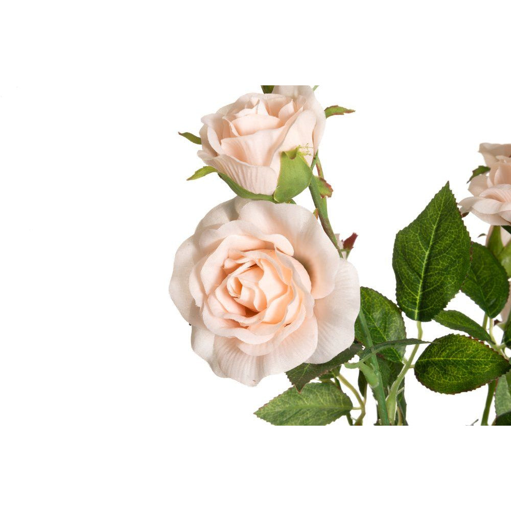 Konstgjorda Rosor (Champagne)