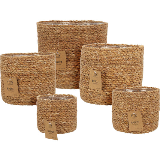 Korgset i Sjögräs (5 st)